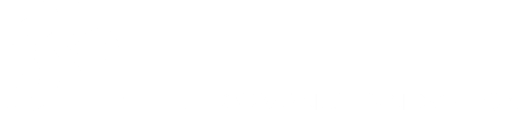 BH Performance Innovation